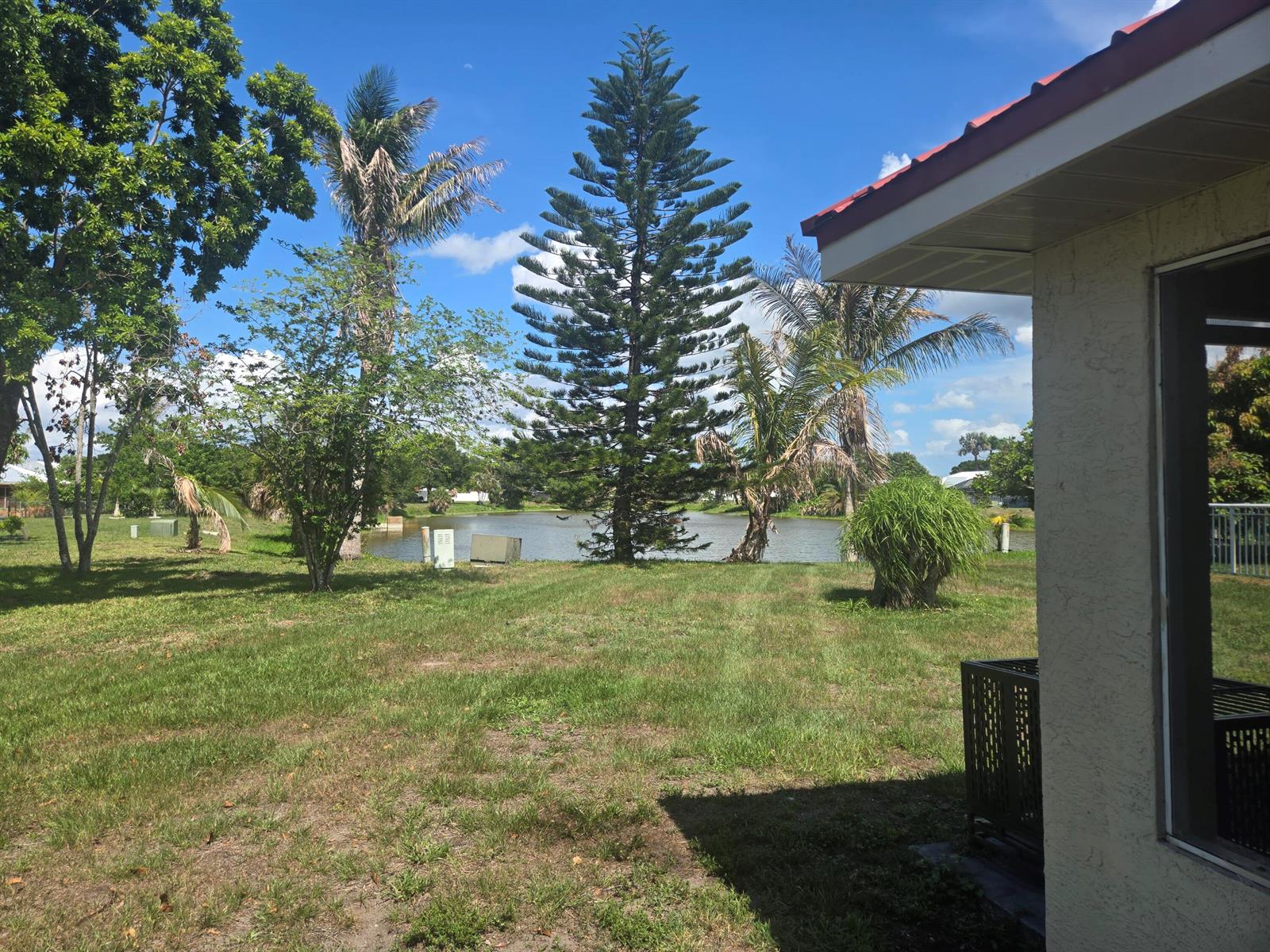 A grassy backyard overlooks a small pond with palm trees and a tall pine tree — 328 W Sugarland Circle, Clewiston FL 33440, CLEWISTON, FL