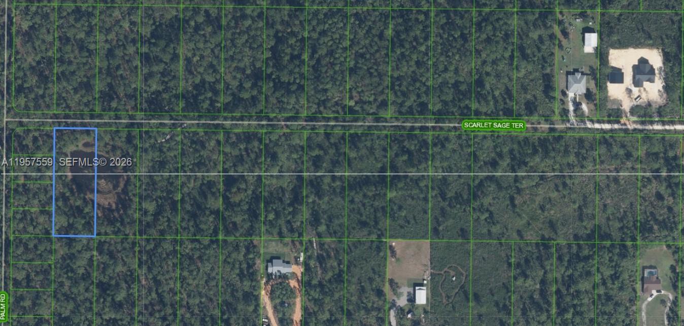 This is an aerial map showing a rectangular plot of land outlined in blue — 1981 SCARLET SAGE TER, Sebring FL 33875, SEBRING, FL