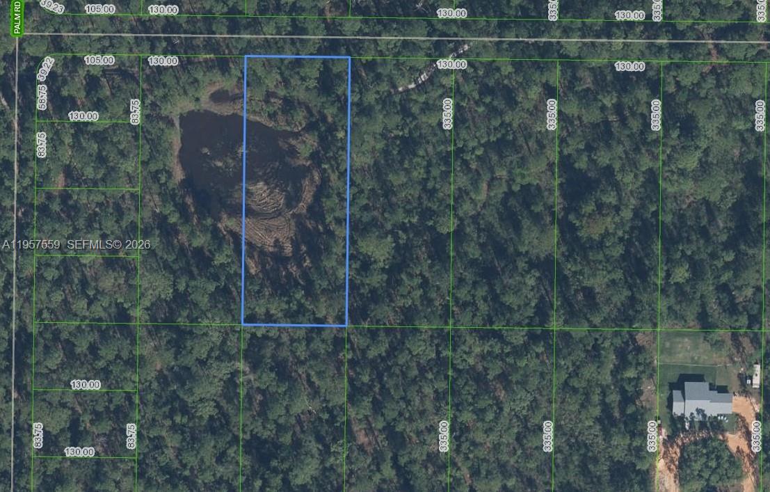 This is an aerial map showing a rectangular property boundary outlined in blue over wooded land — 1981 SCARLET SAGE TER, Sebring FL 33875, SEBRING, FL
