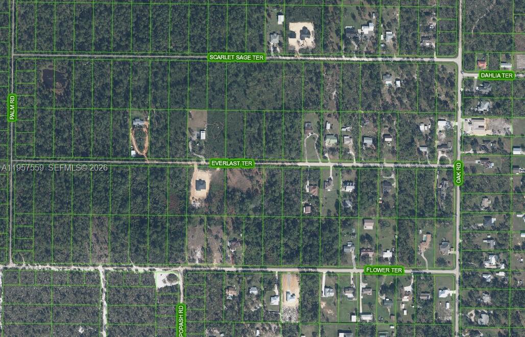 This is an aerial map showing residential lots and streets in a wooded area — 1981 SCARLET SAGE TER, Sebring FL 33875, SEBRING, FL