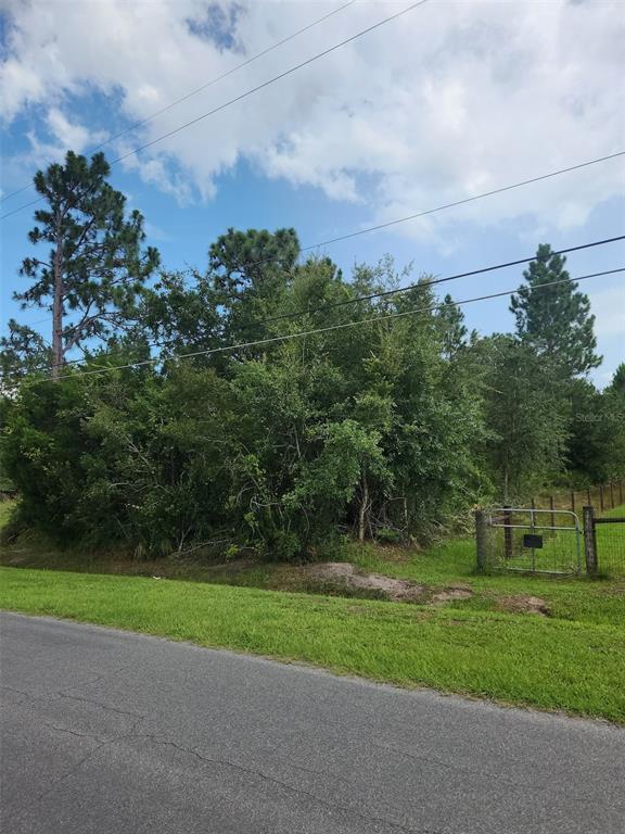 A view of a grassy roadside lot with dense trees and a metal gate — RALSTON STREET, ORLANDO, FL