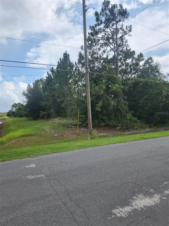A utility pole stands beside a grassy lot bordered by trees next to an asphalt road — RALSTON STREET, ORLANDO, FL