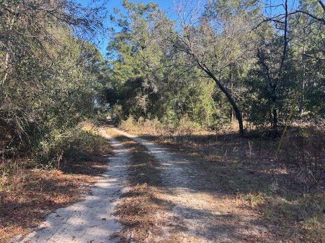 0000 NW 9TH PLACE, OCALA, FL — photo 2 of 2