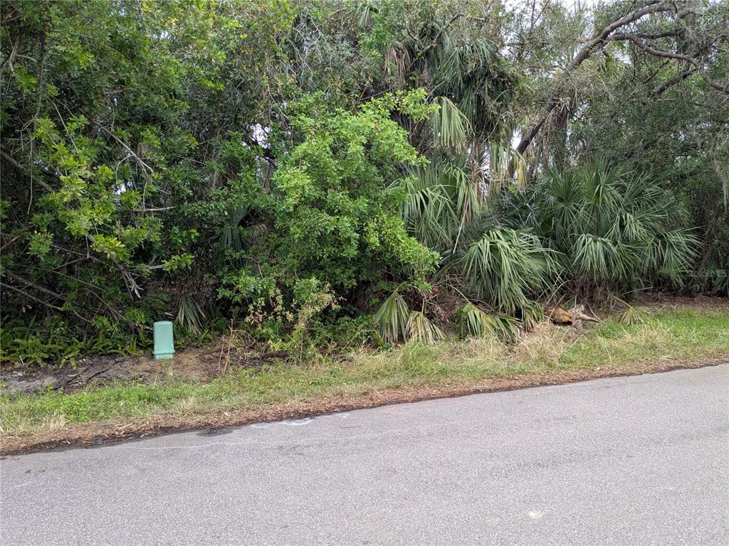 A paved road runs alongside a wooded lot featuring dense vegetation and a utility box — 22438 BLANCHARD AVENUE, PORT CHARLOTTE, FL