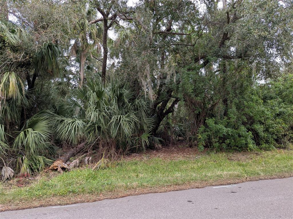 A dense, wooded lot with palm trees and native vegetation borders a paved road — 22438 BLANCHARD AVENUE, PORT CHARLOTTE, FL