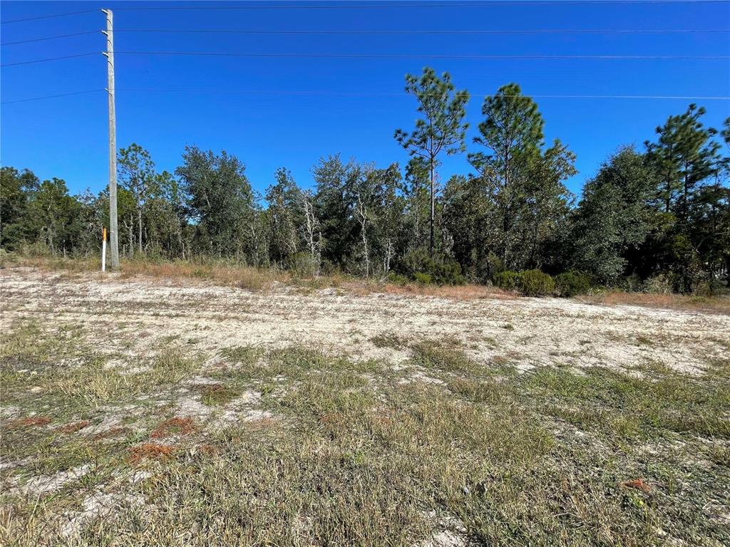 TBD NE HIGHWAY 27 ALT, BRONSON, FL — photo 2 of 6