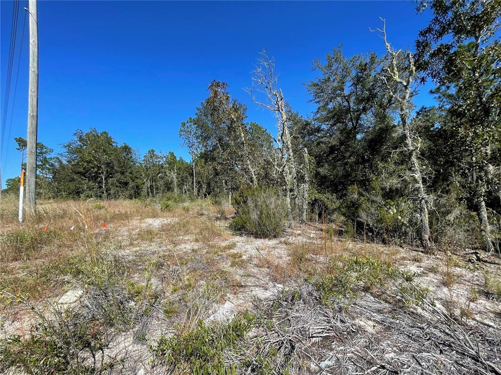 TBD NE HIGHWAY 27 ALT, BRONSON, FL — photo 4 of 6