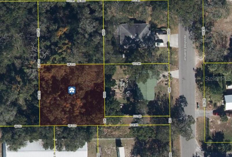This is an aerial map showing property lot lines and dimensions for a residential area — 2834 WINIFRED AVENUE, ZELLWOOD, FL