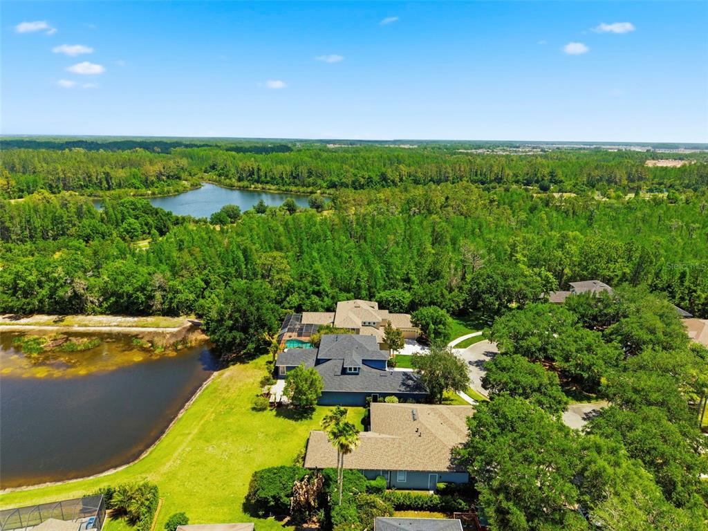 An aerial view shows a house with a pool next to a lake and forest — 20629 WILD PLUM COURT, LAND O LAKES, FL