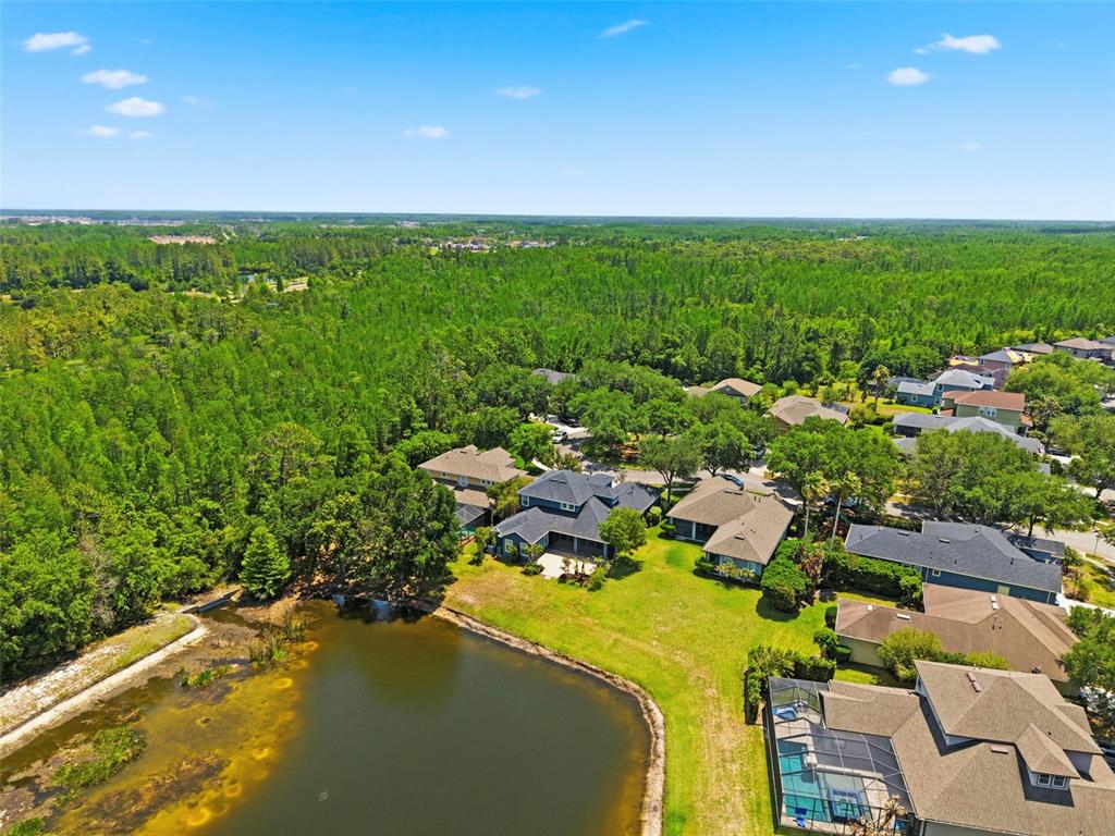 An aerial view shows several suburban houses situated near a pond and dense forest — 20629 WILD PLUM COURT, LAND O LAKES, FL