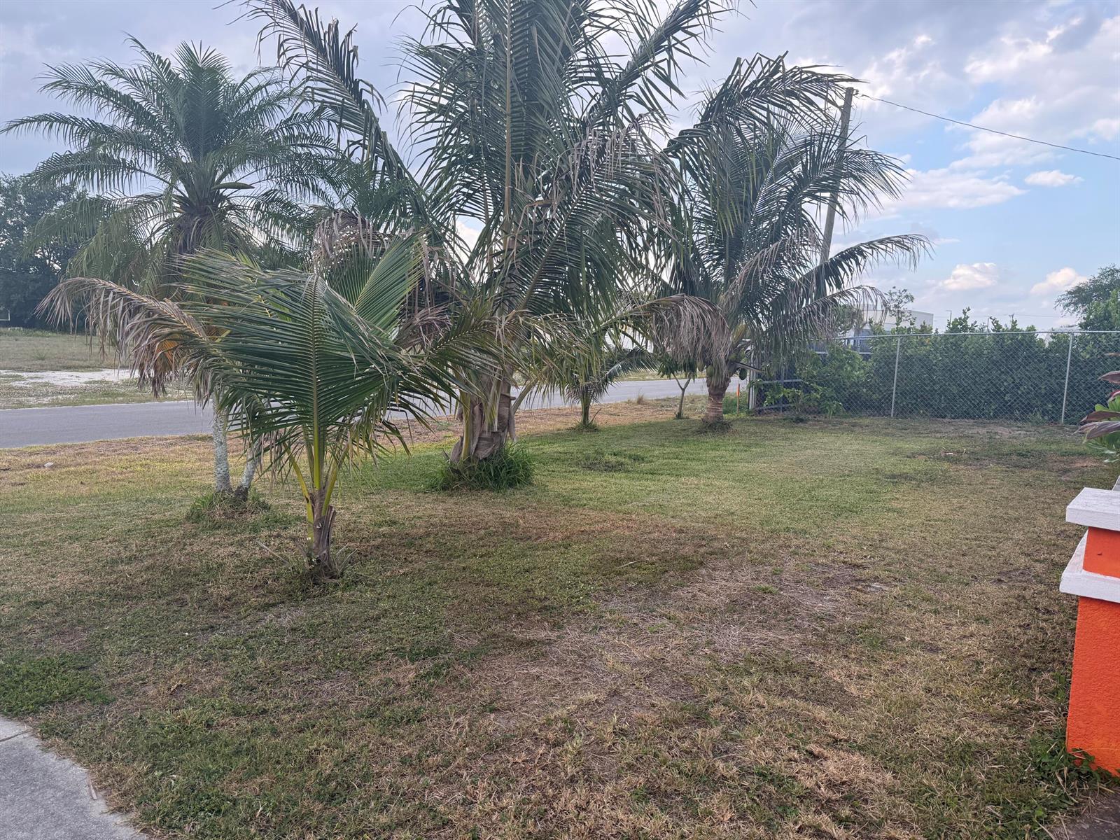 A grassy yard features several palm trees and a chain-link fence under a cloudy sky — 1410 NE 14th Terrace, Cape Coral FL 33909, CAPE CORAL, FL