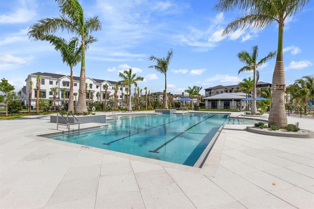 A swimming pool with lap lanes is surrounded by a paved deck and palm trees — 1655 SPRINGWELL LANE, SARASOTA, FL