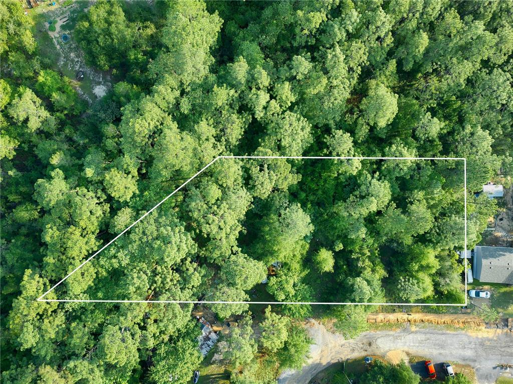 An aerial view shows a wooded plot of land outlined in white — PINETREE LANE, DEFUNIAK SPRINGS, FL