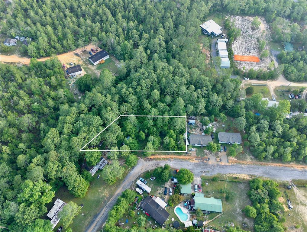 An aerial view shows a wooded lot outlined in white near a residential road — PINETREE LANE, DEFUNIAK SPRINGS, FL