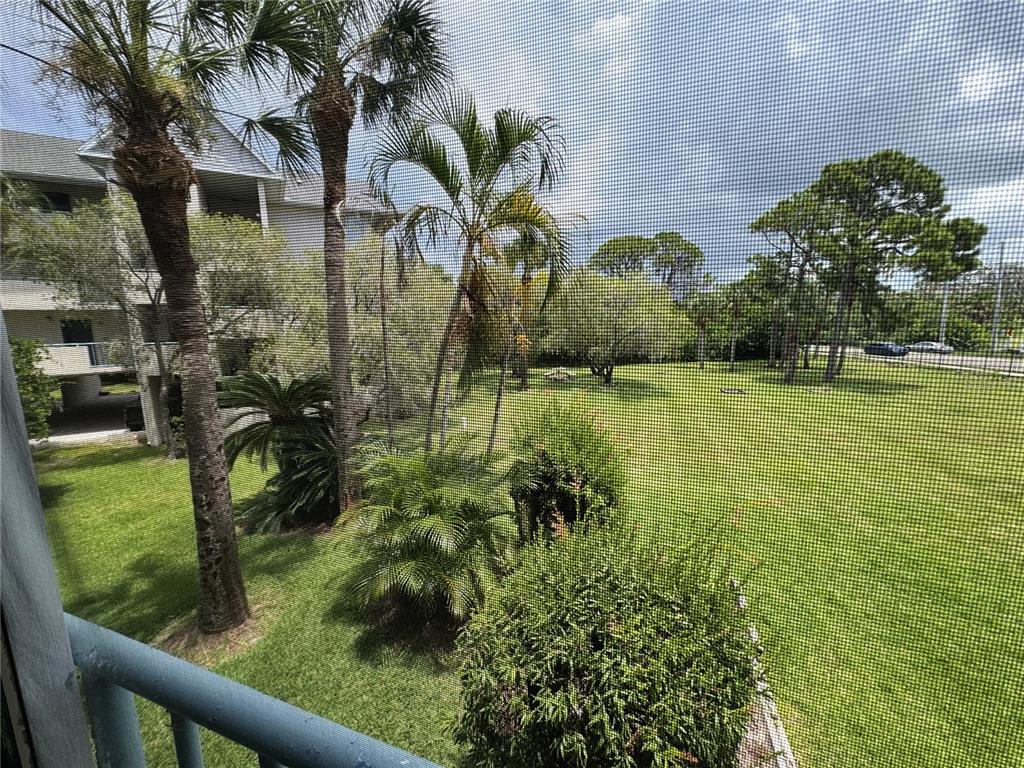 A view of a grassy lawn and palm trees seen through a screened-in balcony — 5557 SEA FOREST DRIVE UNIT 118, NEW PORT RICHEY, FL