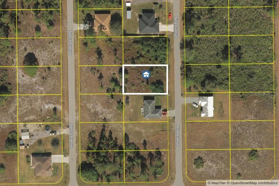 This is an aerial map showing a vacant lot highlighted between two residential streets — 768 NINA AVENUE S, LEHIGH ACRES, FL