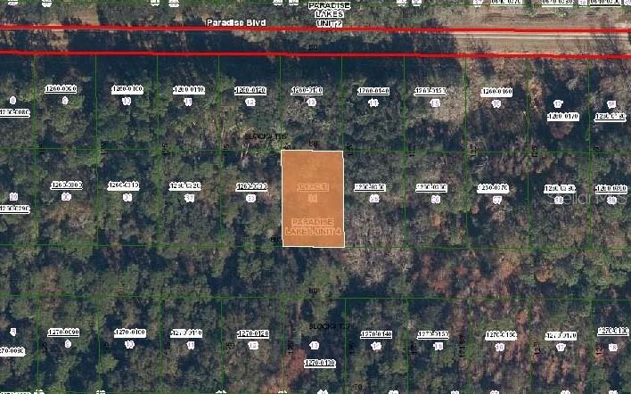 324 E EDGEWOOD DRIVE, GEORGETOWN, FL — photo 2 of 3
