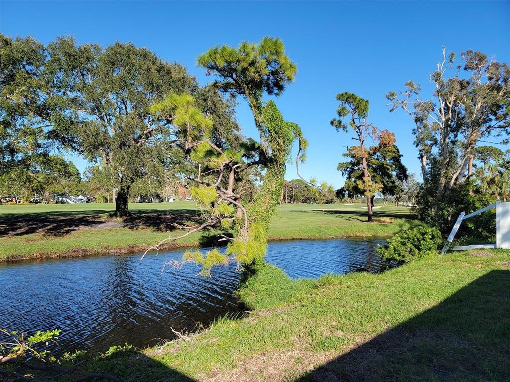 A view of a small pond and a golf course with trees under a blue sky — 2187 CORINNE COURT S UNIT C, ST PETERSBURG, FL