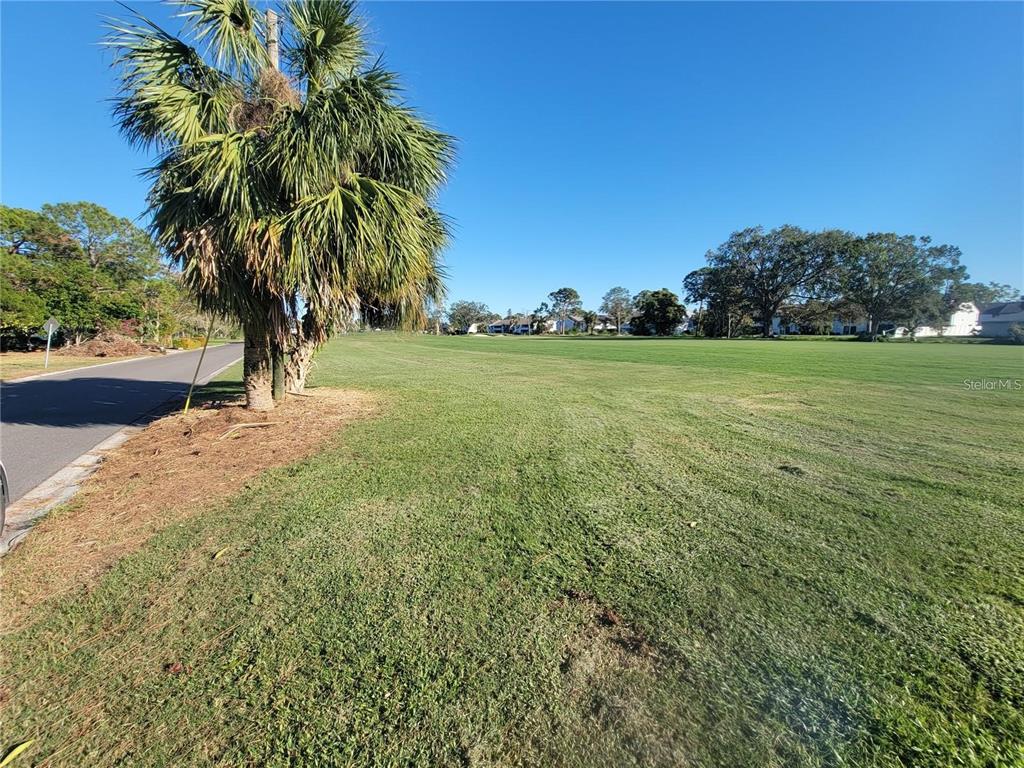 A palm tree stands beside a paved road bordering a large, open grassy field — 2187 CORINNE COURT S UNIT C, ST PETERSBURG, FL
