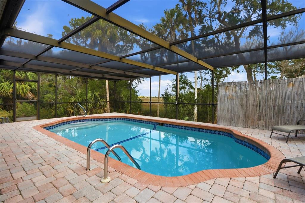 A screened-in pool with a brick paver deck and a view of trees and marsh — 4601 S GATOR LOOP, HOMOSASSA, FL
