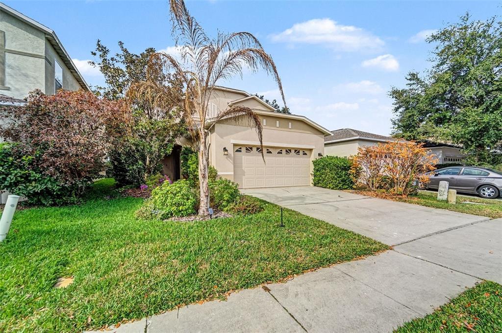 A front entryway features a wooden door with decorative glass, a potted plant, and a rug — 2449 SILVERMOSS DRIVE, WESLEY CHAPEL, FL