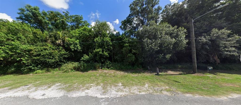 A vacant, tree-covered lot sits along a paved road under a blue sky — SOCCER AVENUE, TAMPA, FL
