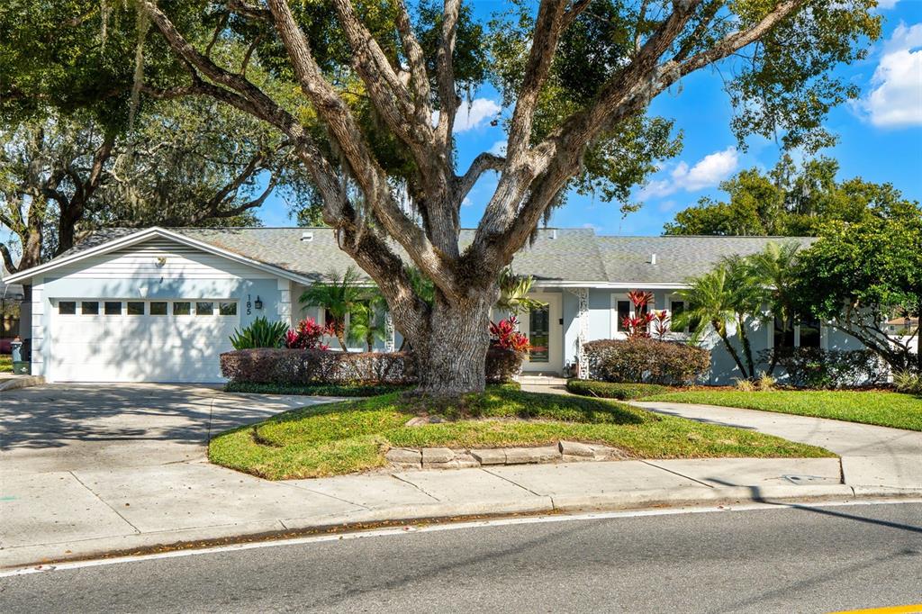 185 BIRCHWOOD DRIVE