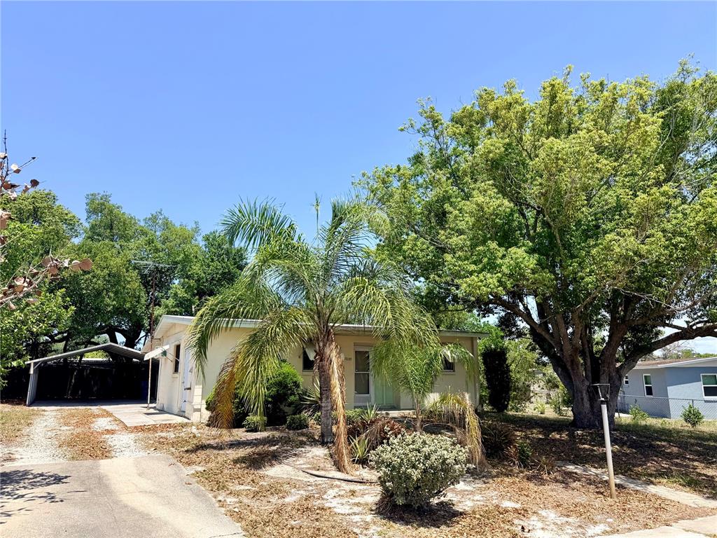 A single-story house with a carport, a palm tree, and large trees in the yard — 7055 MERRICK LANE, SPRING HILL, FL