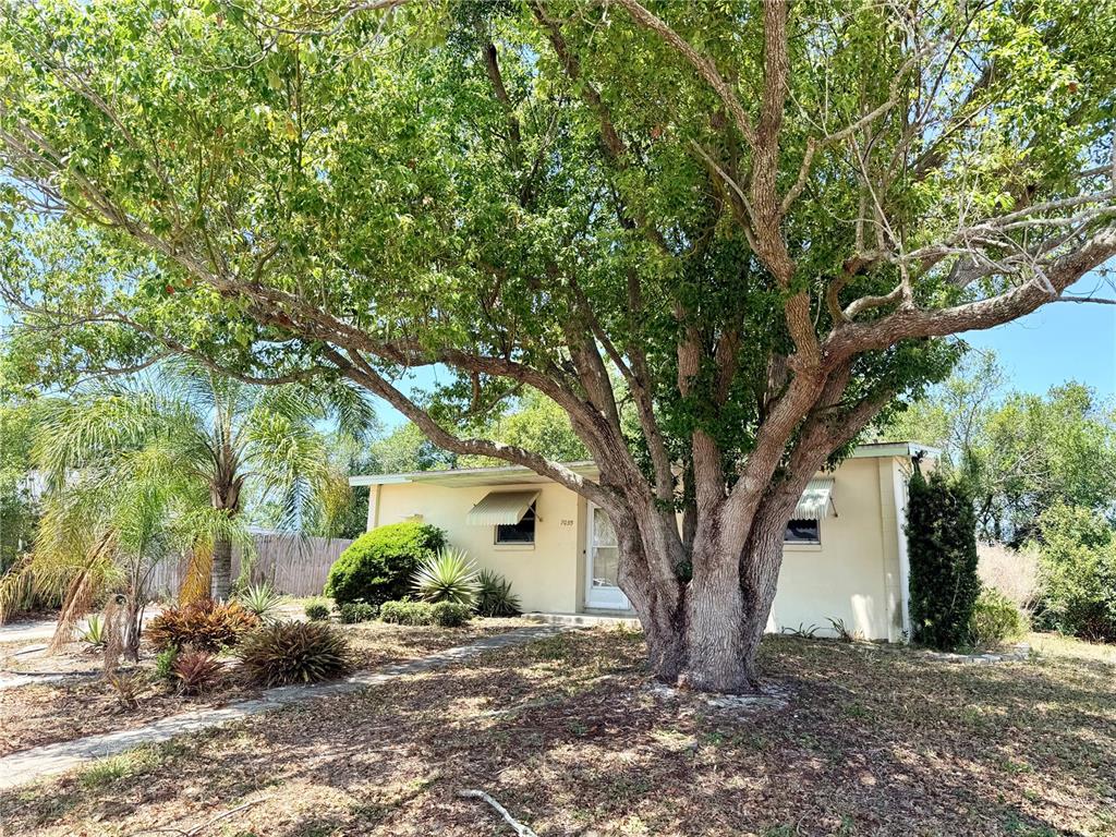 A single-story house with a large tree in the front yard — 7055 MERRICK LANE, SPRING HILL, FL