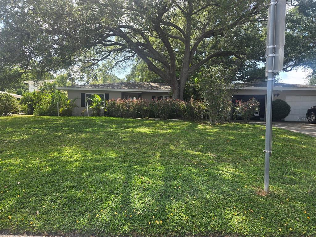 A single-story house with a large tree in the front yard and a driveway — 1704 CYPRESS AVENUE, BELLEAIR, FL