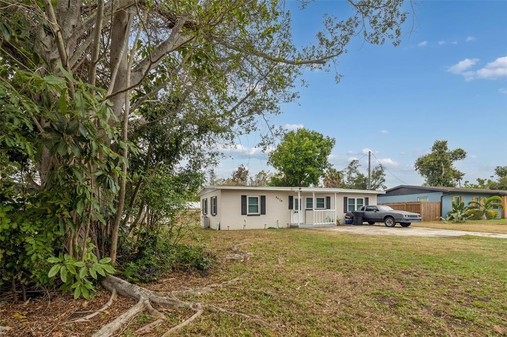 A single-story house with light-colored siding stands behind a large tree in a grassy yard — 4479 PORPOISE DRIVE SE, ST PETERSBURG, FL
