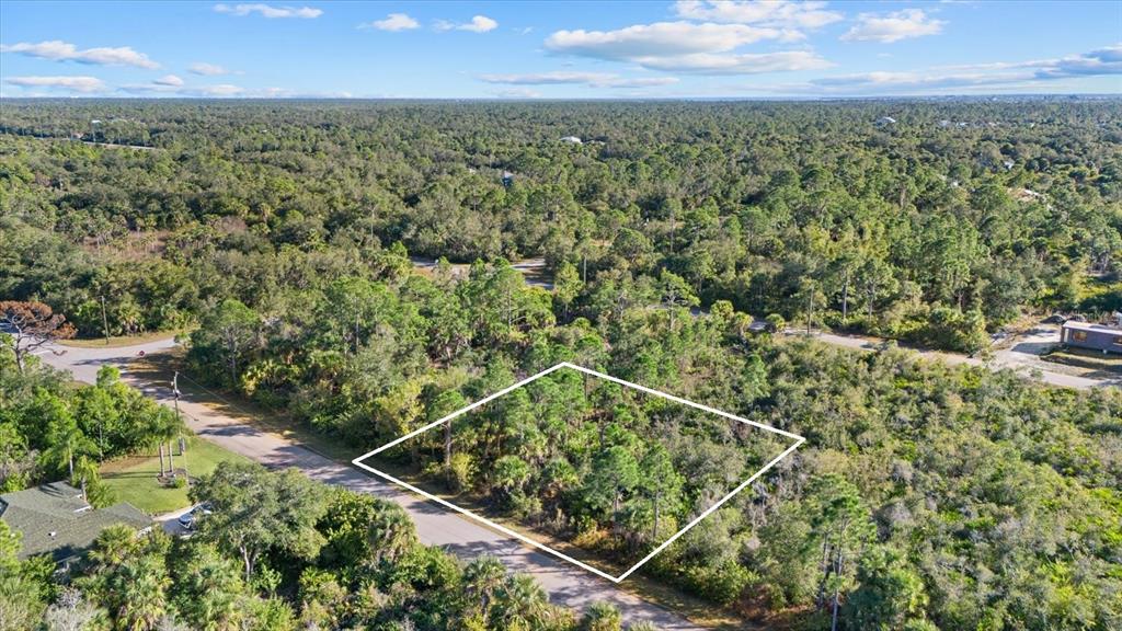 An aerial view shows a vacant, wooded lot outlined in white along a paved road — 14113 HYDRANGEA AVENUE, PORT CHARLOTTE, FL
