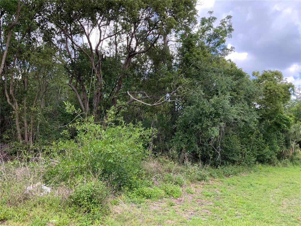 HASTINGS DRIVE, DELTONA, FL — photo 5 of 14