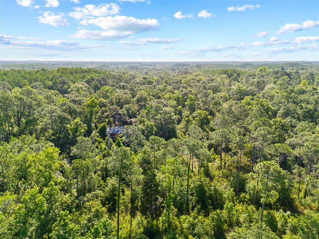 An aerial view shows a house partially hidden by a dense forest under a blue sky — 0 DOTHAN STREET, NEW PORT RICHEY, FL