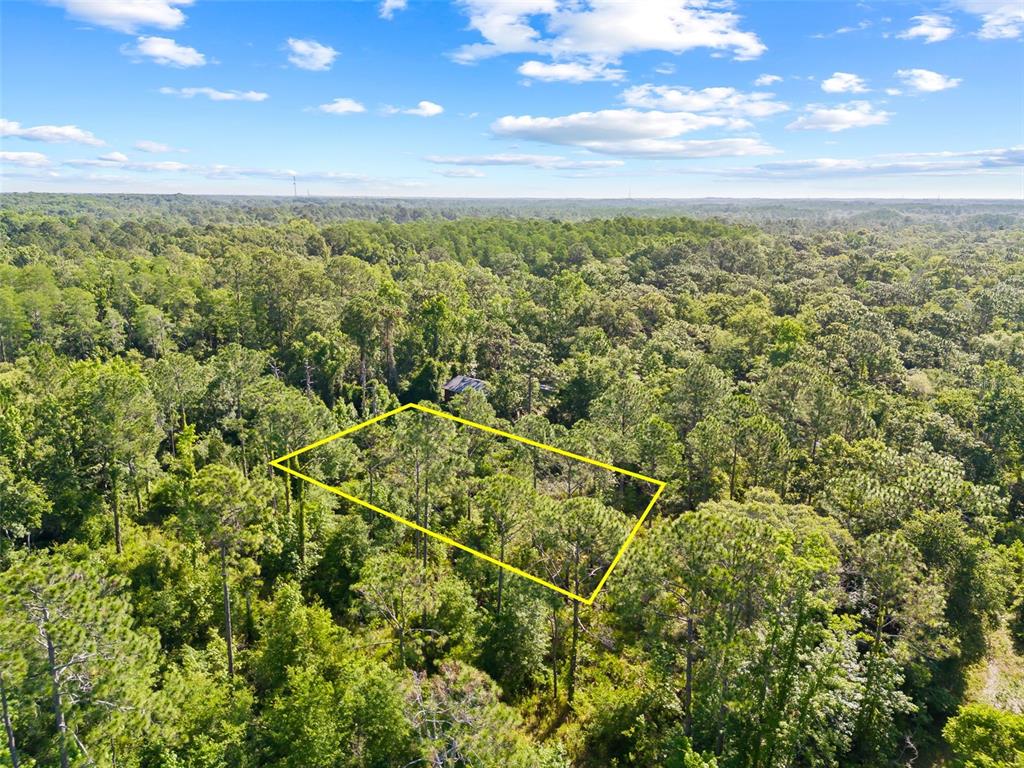 An aerial view shows a rectangular plot of land outlined in yellow amidst dense forest — 0 DOTHAN STREET, NEW PORT RICHEY, FL