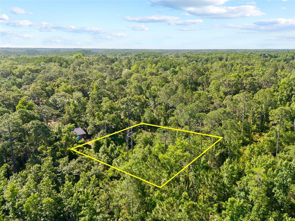 An aerial view shows a wooded lot outlined in yellow with a small structure nearby — 0 DOTHAN STREET, NEW PORT RICHEY, FL