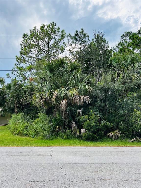 3 SEATTLE TRAIL, PALM COAST, FL — photo 3 of 16