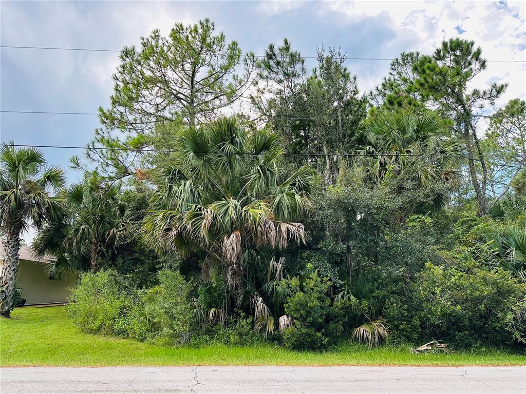 3 SEATTLE TRAIL, PALM COAST, FL — photo 4 of 16