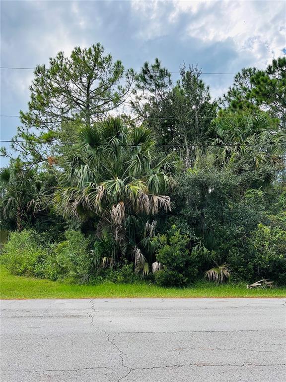 3 SEATTLE TRAIL, PALM COAST, FL — photo 5 of 16