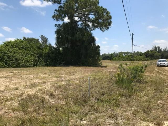 A vacant, grassy lot features a large tree and a utility pole under a blue sky — 215 SW 9TH PLACE, CAPE CORAL, FL