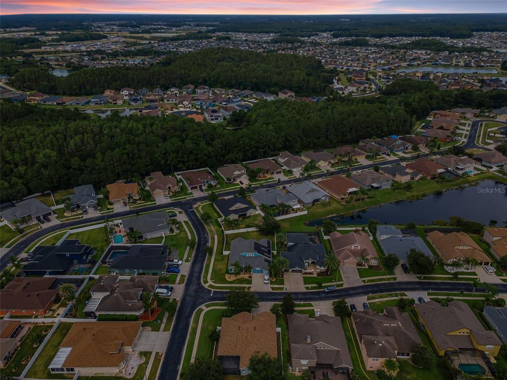 An aerial view shows a suburban neighborhood with houses, streets, and a pond — 1629 SALMONBERRY STREET, WESLEY CHAPEL, FL