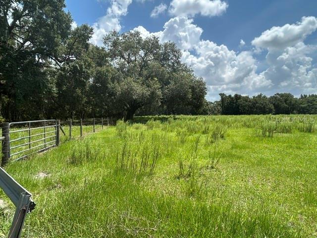 A metal gate opens to a grassy field bordered by a line of mature trees — SE 34TH WAY, SUMTERVILLE, FL