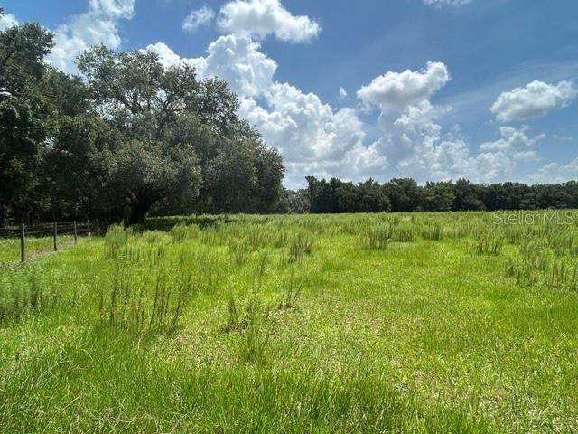 A grassy field is bordered by a line of trees under a blue sky — SE 34TH WAY, SUMTERVILLE, FL