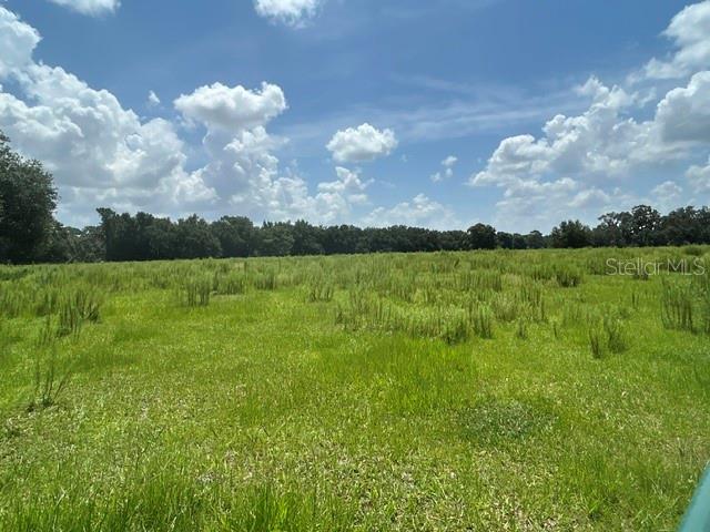 A wide, grassy field is bordered by a line of trees under a cloudy blue sky — SE 34TH WAY, SUMTERVILLE, FL