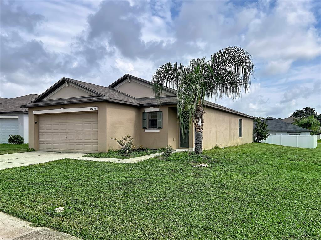 A single-story tan house with a two-car garage and a palm tree in the yard — 36095 CARRIAGE PINE COURT, ZEPHYRHILLS, FL