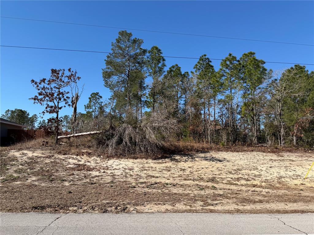 SW 135TH STREET ROAD LOT 12
