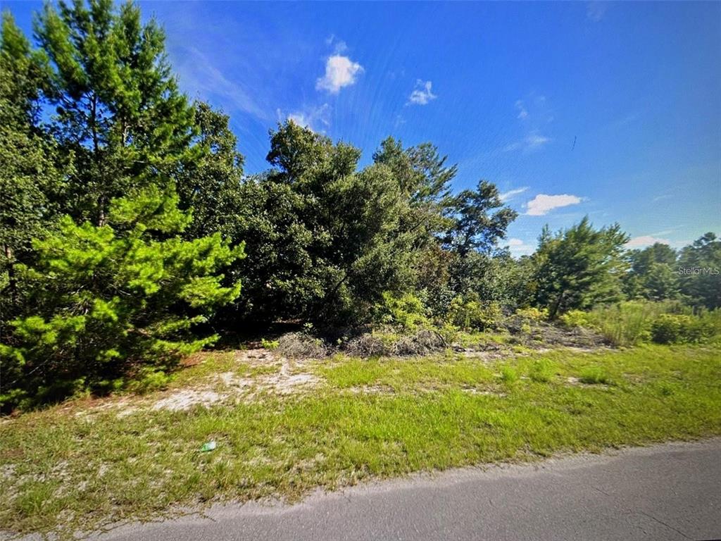A grassy, wooded vacant lot sits adjacent to an asphalt road under a blue sky — SW 41ST COURT, OCALA, FL