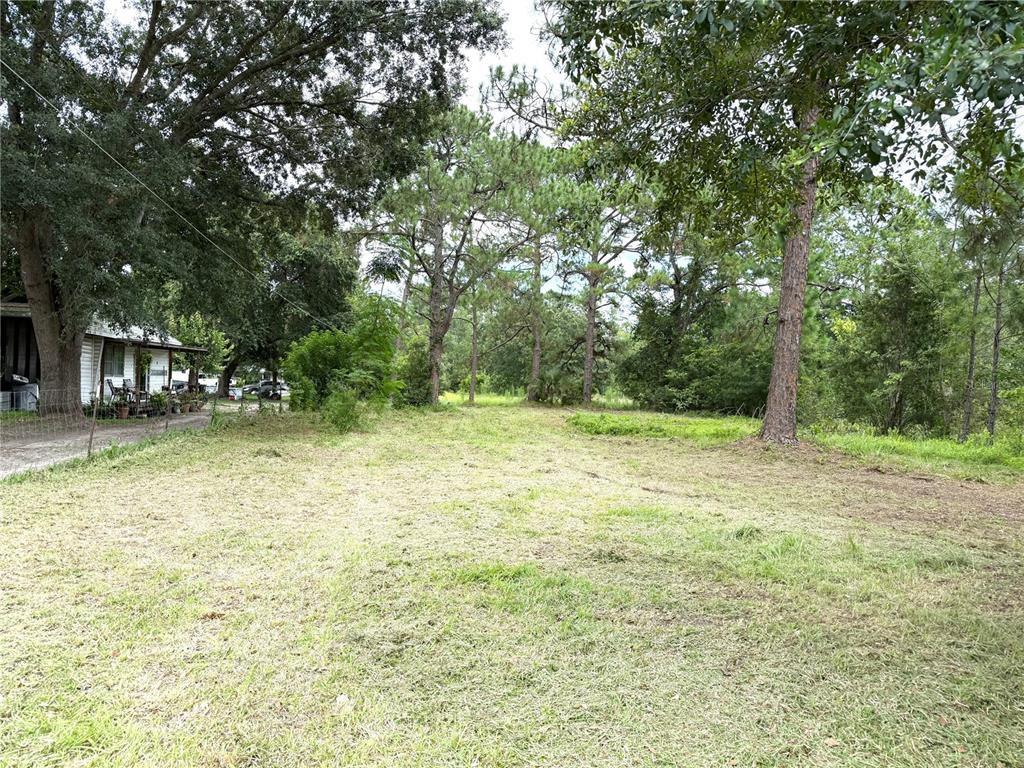A grassy, partially cleared lot features several large trees next to a small white house — 2731 8TH STREET, ORLANDO, FL