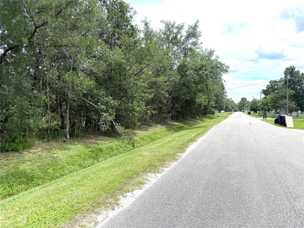 A paved road runs alongside a grassy embankment and a line of dense trees — 2731 8TH STREET, ORLANDO, FL