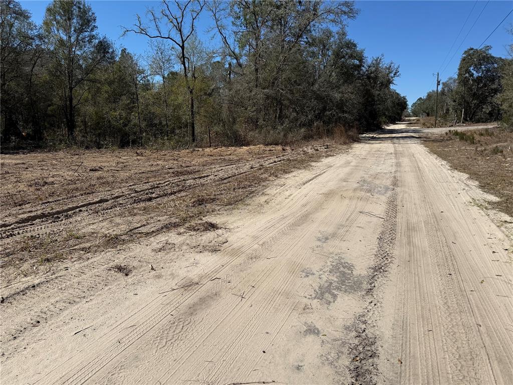 0000 NE 82ND PLACE, BRONSON, FL — photo 2 of 4